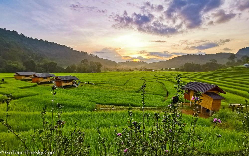 Born Guest House Чиангмай Экстерьер фото